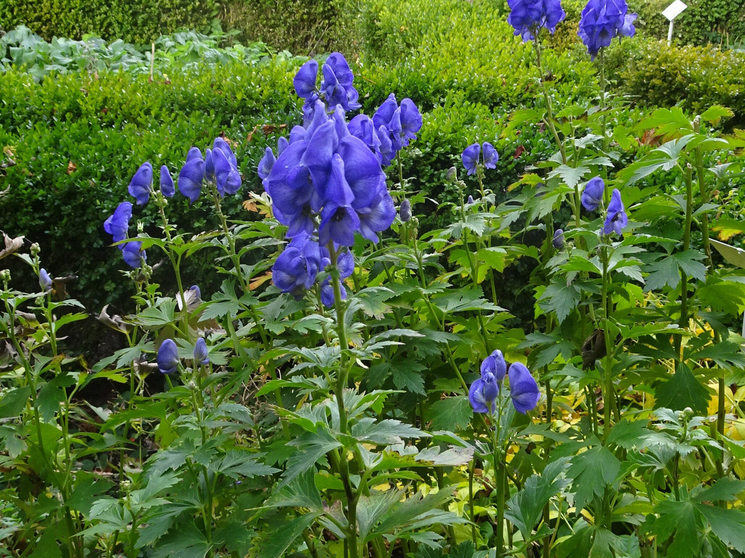 Chateau of Chateaudun-Chateaudun必去景点