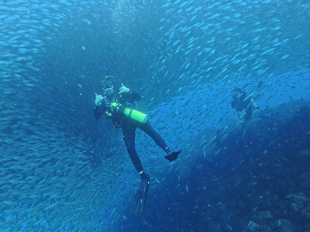 Porto Mari Sports-Sint Willibrordus必去景点