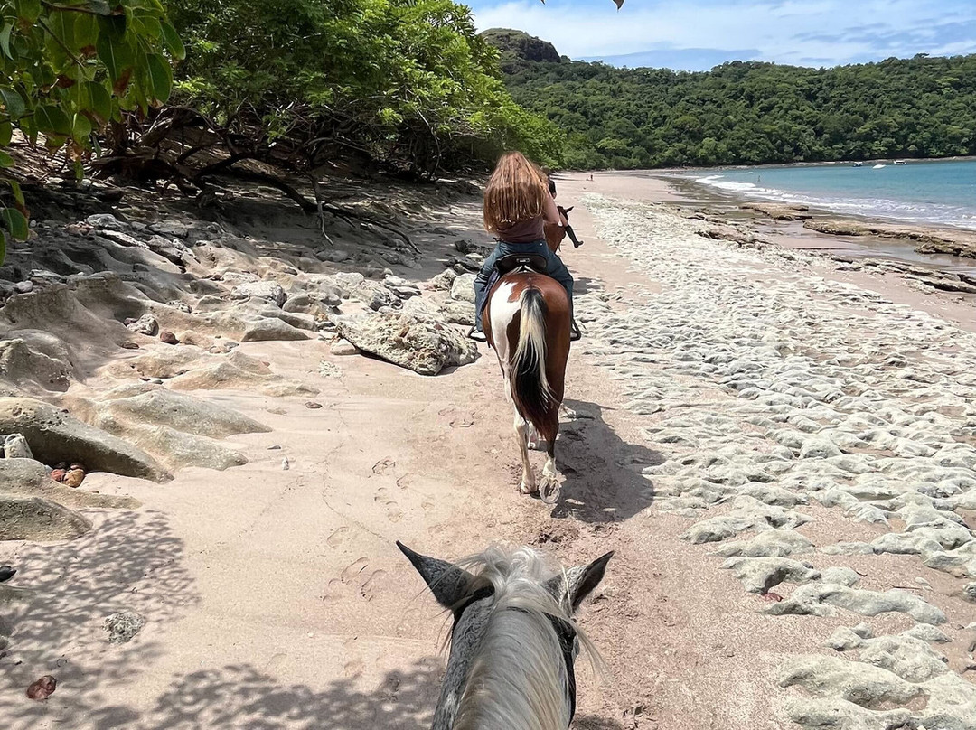 Riding Escapes-Puerto Viejo必去景点