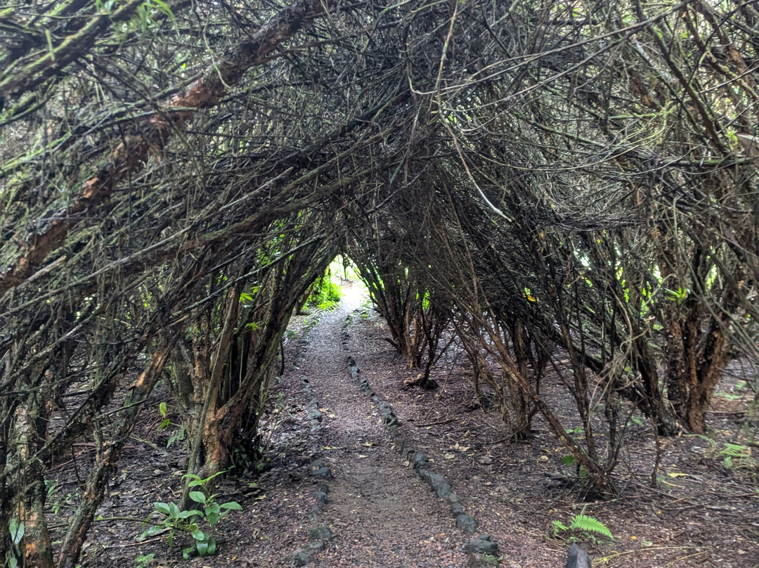Parque Nacional Cayambe - Coca-Cayambe必去景点