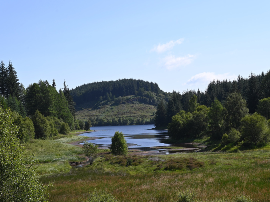 Three Lochs Forest Drive-Aberfoyle必去景点