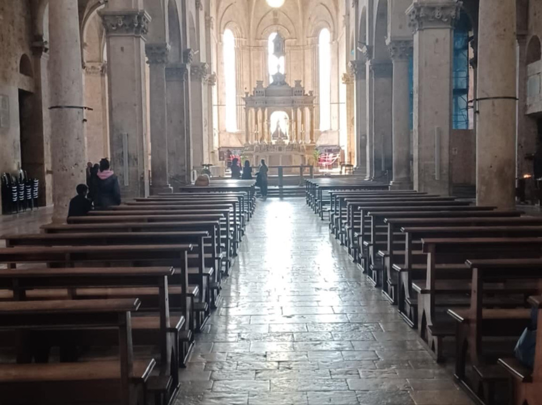 Cattedrale di San Cerbone-马萨马里蒂马必去景点