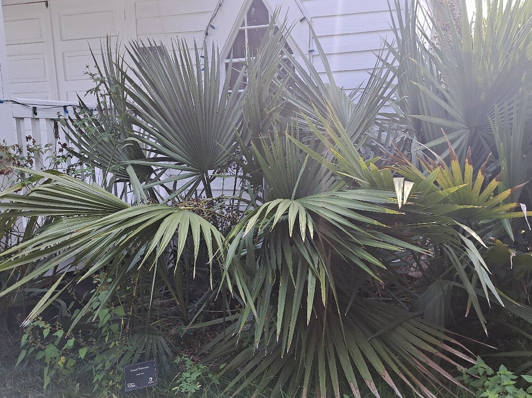 Le Vieux Village de Poste des Opelousas-Opelousas必去景点