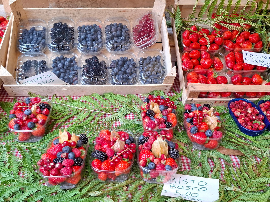 Centro Storico Di Nemi-Nemi必去景点