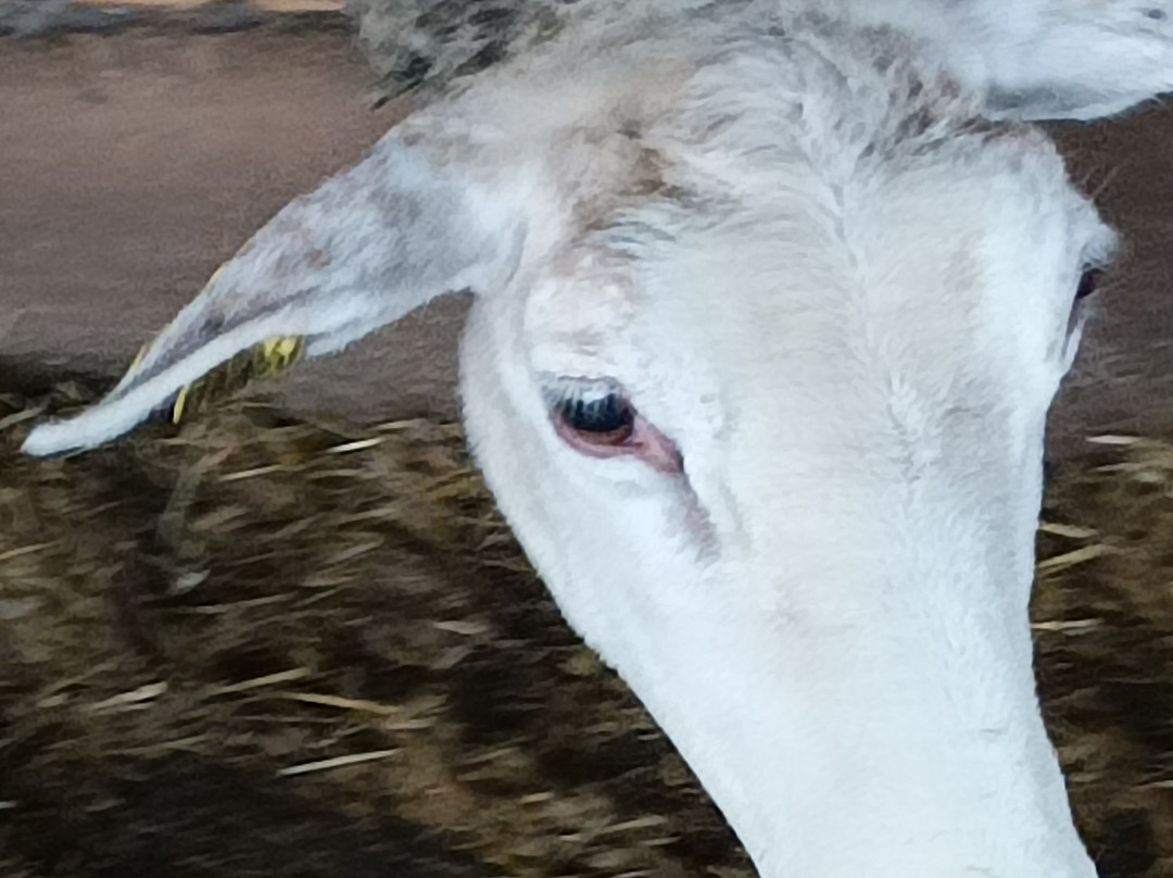 Ferme de Grignon-Thiverval-Grignon必去景点