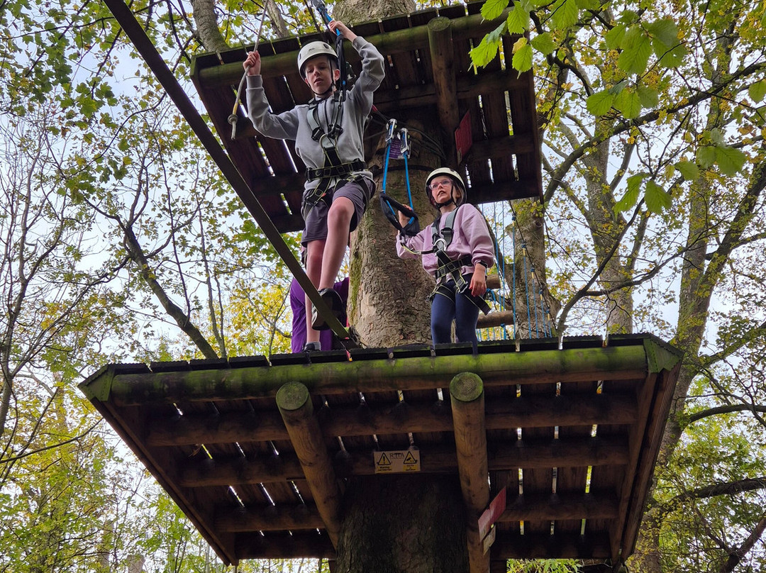 Raven Tree Top Adventure-斯基普顿必去景点