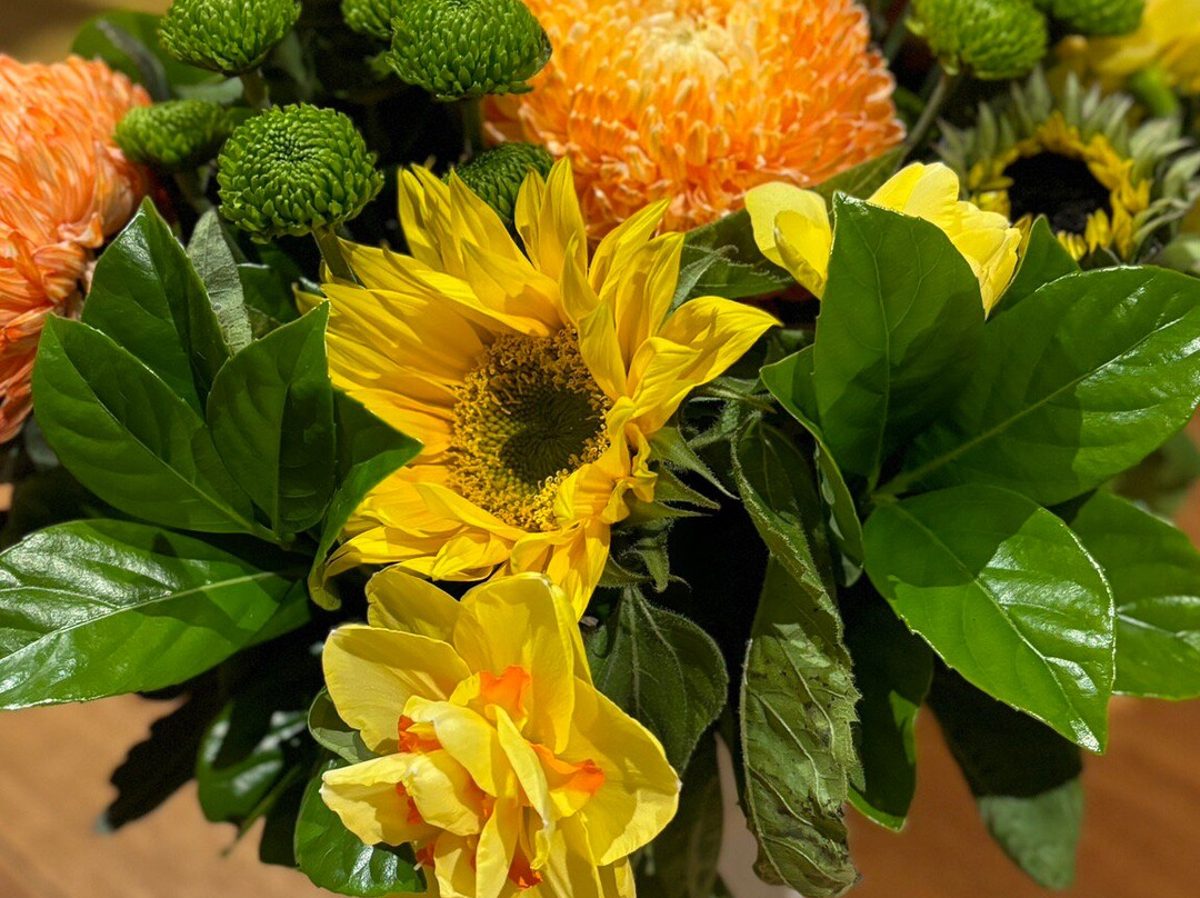 Camberwell Florist-坎伯维尔必去景点