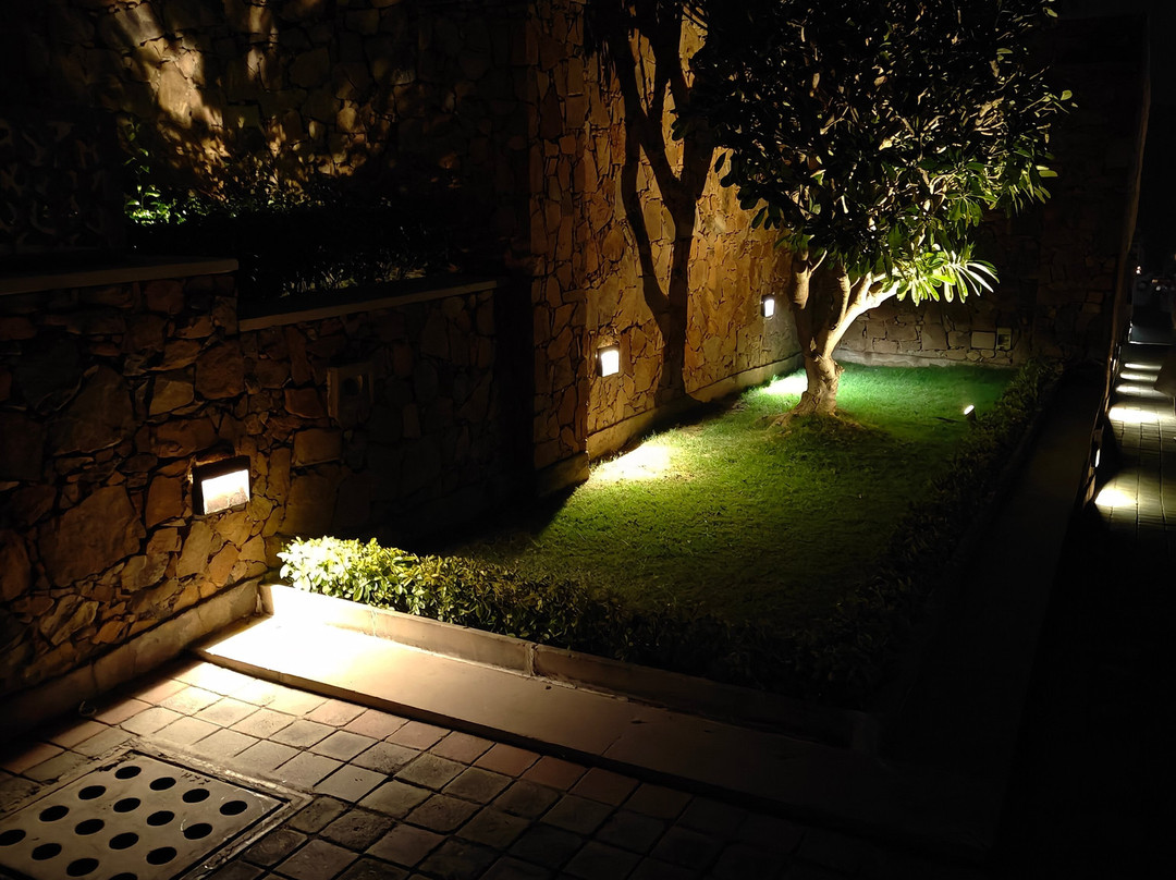 The Lalit Mangar主图