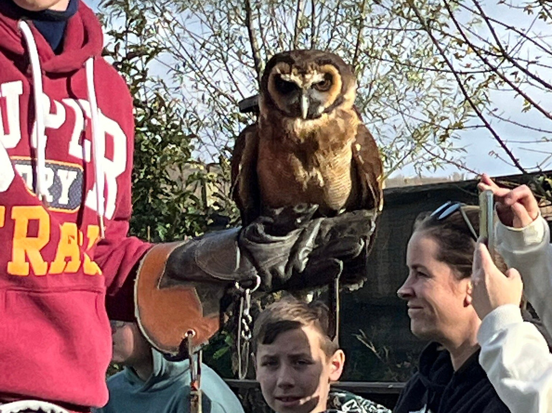 Le Jardin des Hiboux-Bievre必去景点