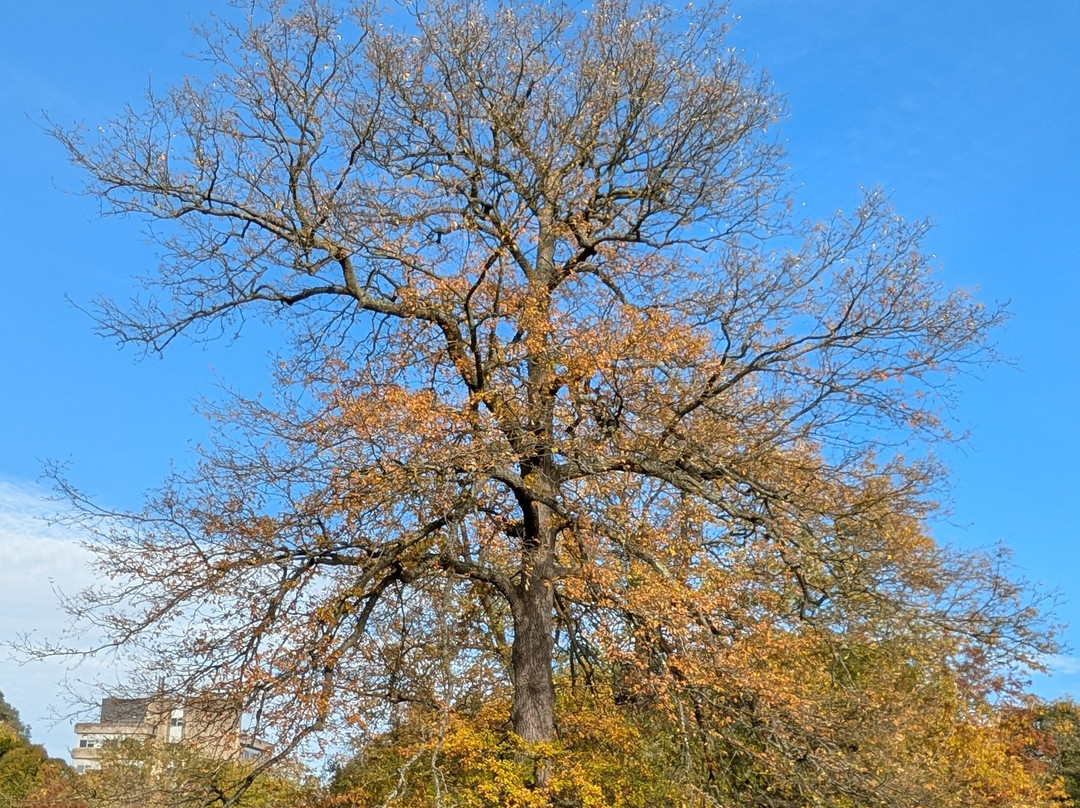 Harris Garden-雷丁必去景点