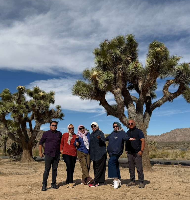 Indousa Tours Travel Services LLC-阿弗内尔必去景点