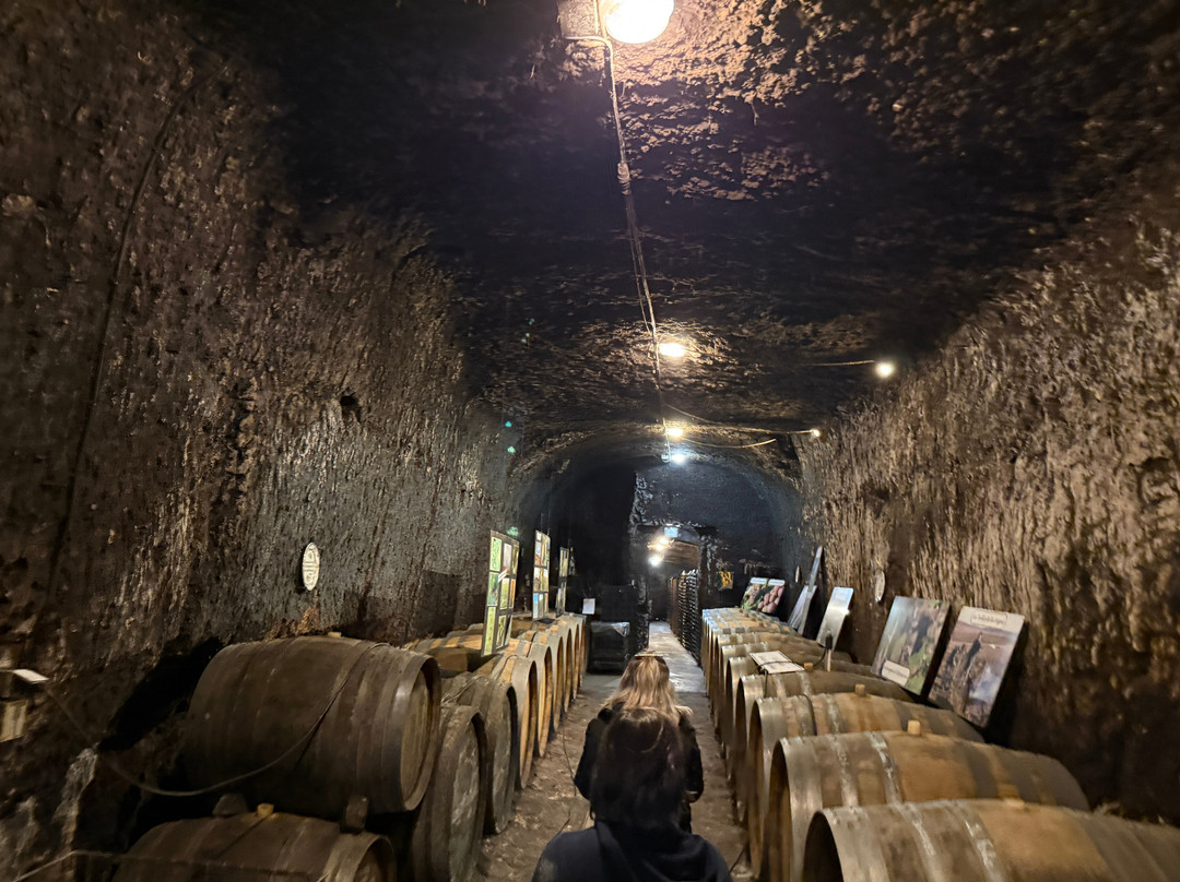 Caves Cathelineau-Chancay必去景点