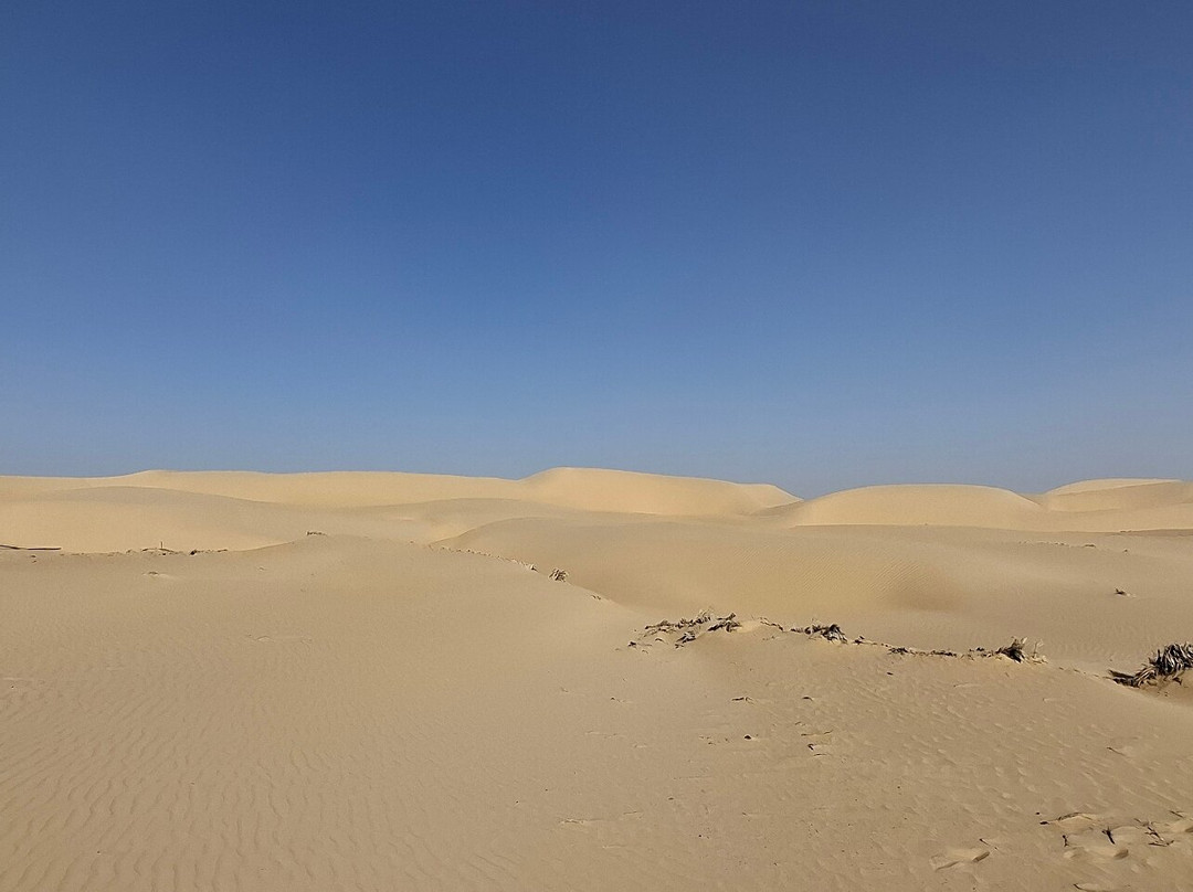 La Gazelle d'Or Resort & Spa