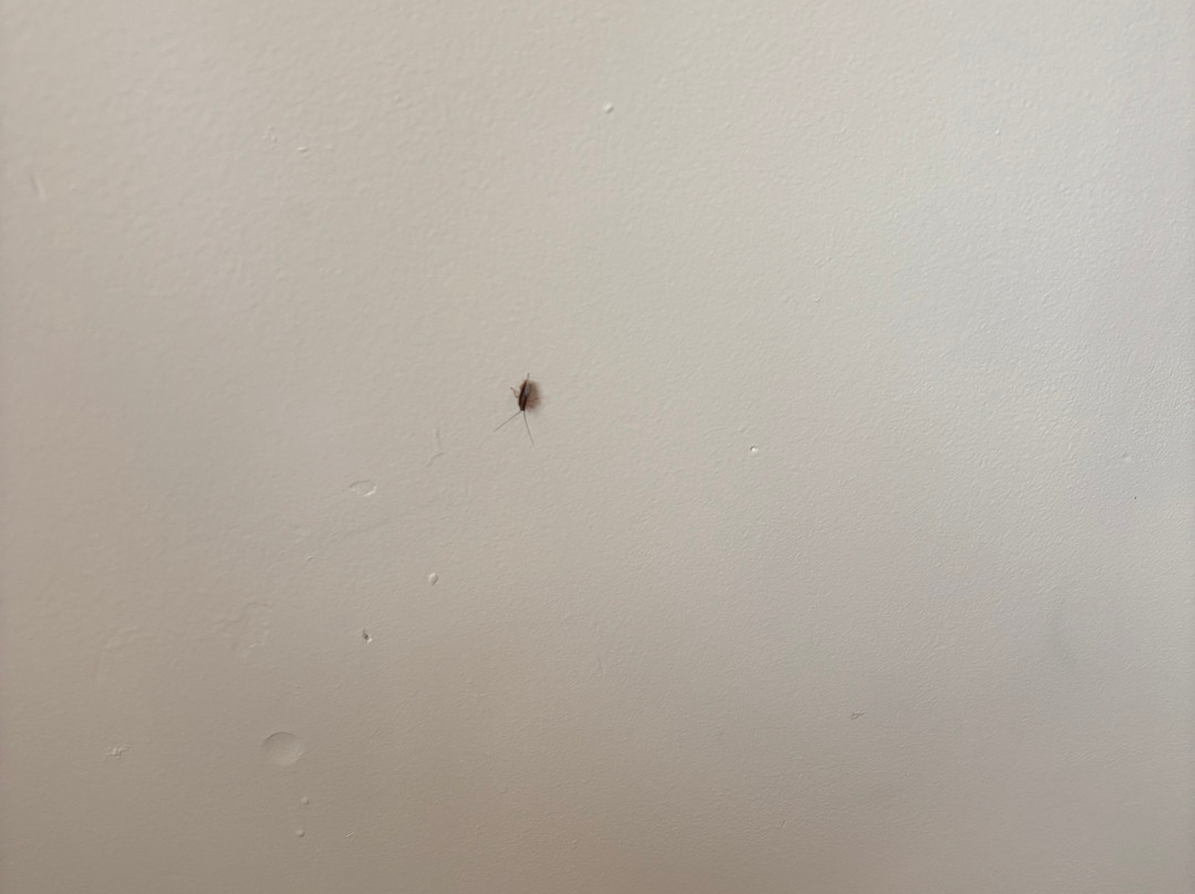 Papakura Motor Lodge & Motel主图