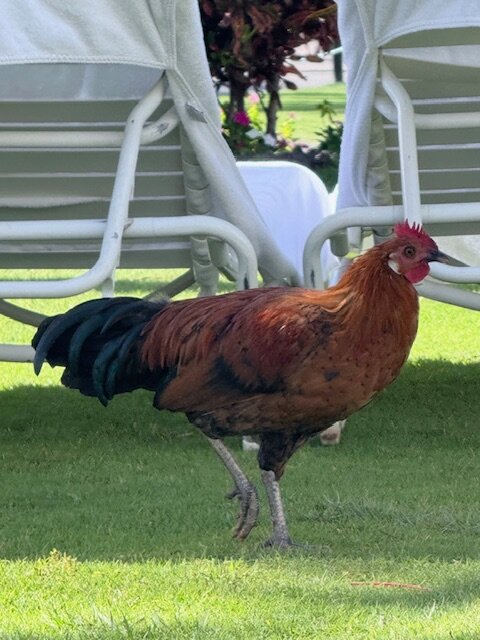 茂宜基亚拉尼费尔蒙酒店-浴室