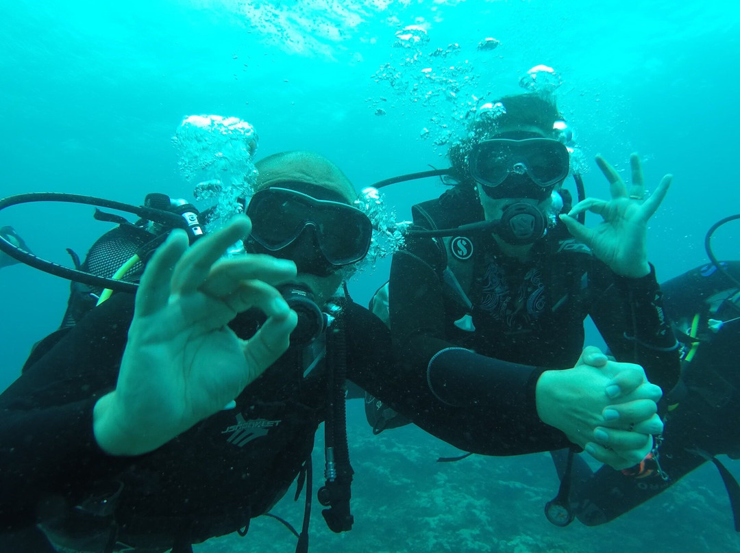 Dive Passion Mauritius-卓得多斯必去景点