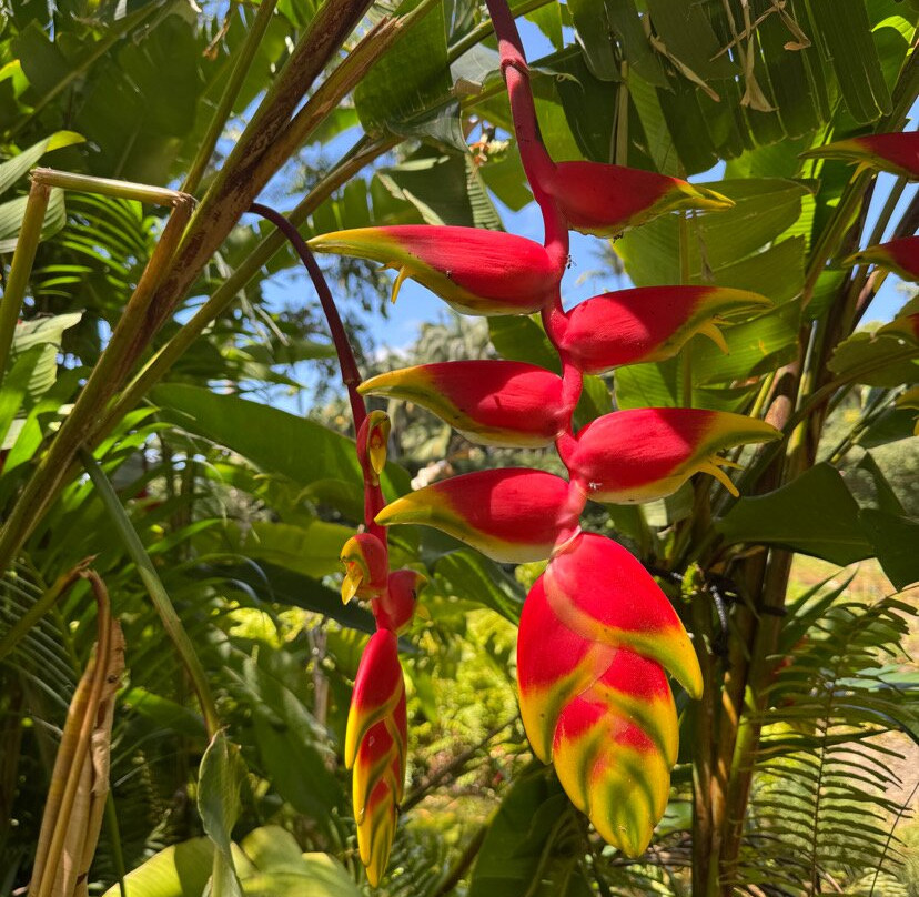 Rhumerie de Saint Aubin-Saint Aubin必去景点