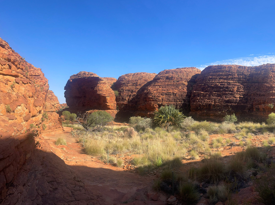 Mulgas Adventures-爱丽斯泉必去景点