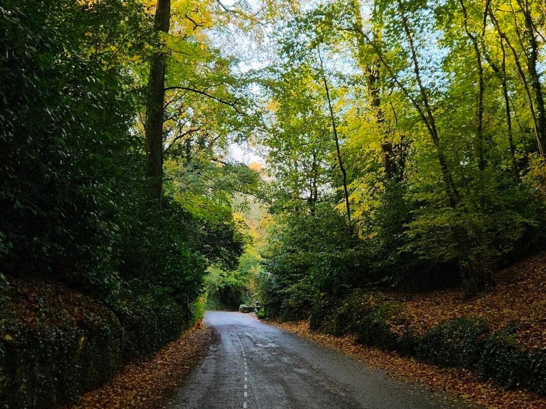 库姆堡村-库姆堡必去景点