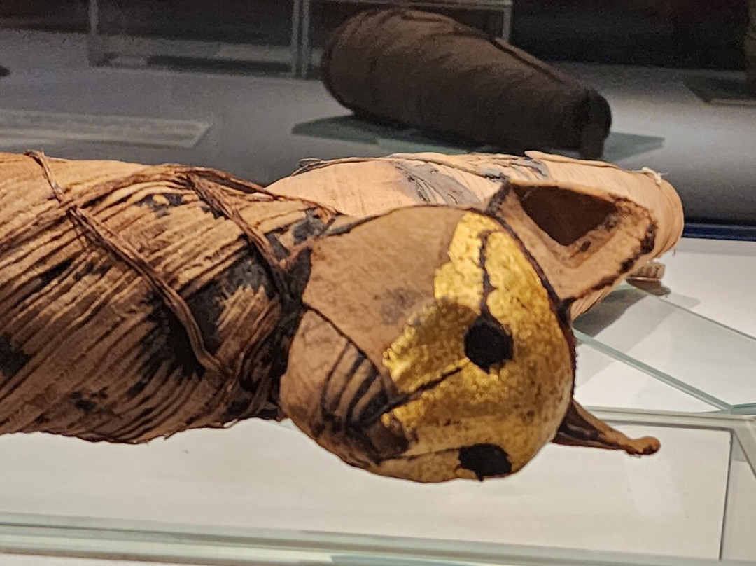 Mummification Museum-卢克索必去景点