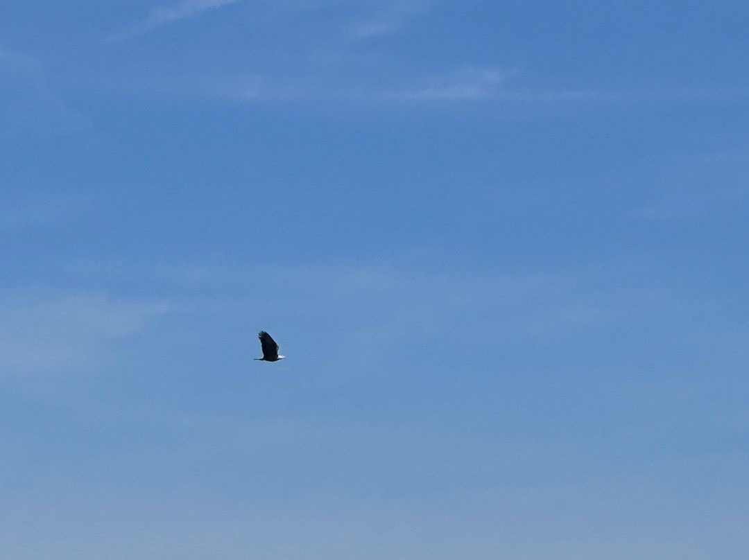 Captain Dan's Around the Island Tours-钦科蒂格岛必去景点