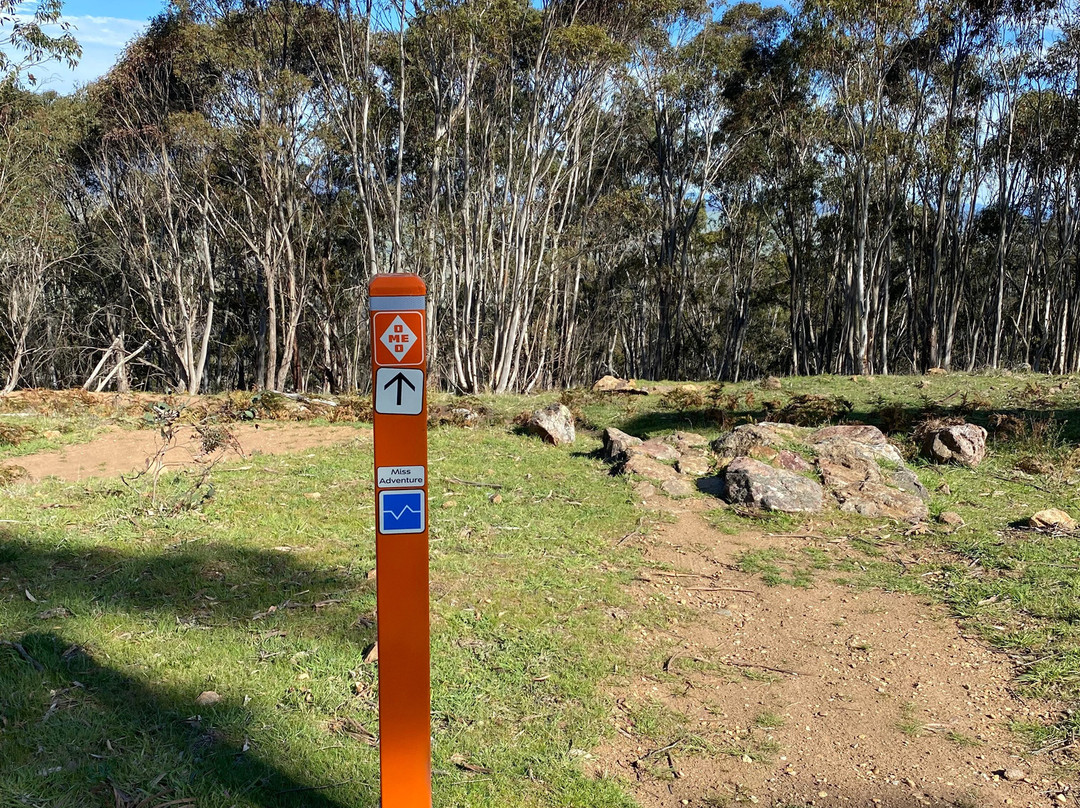 Omeo Mtb Park-Omeo必去景点
