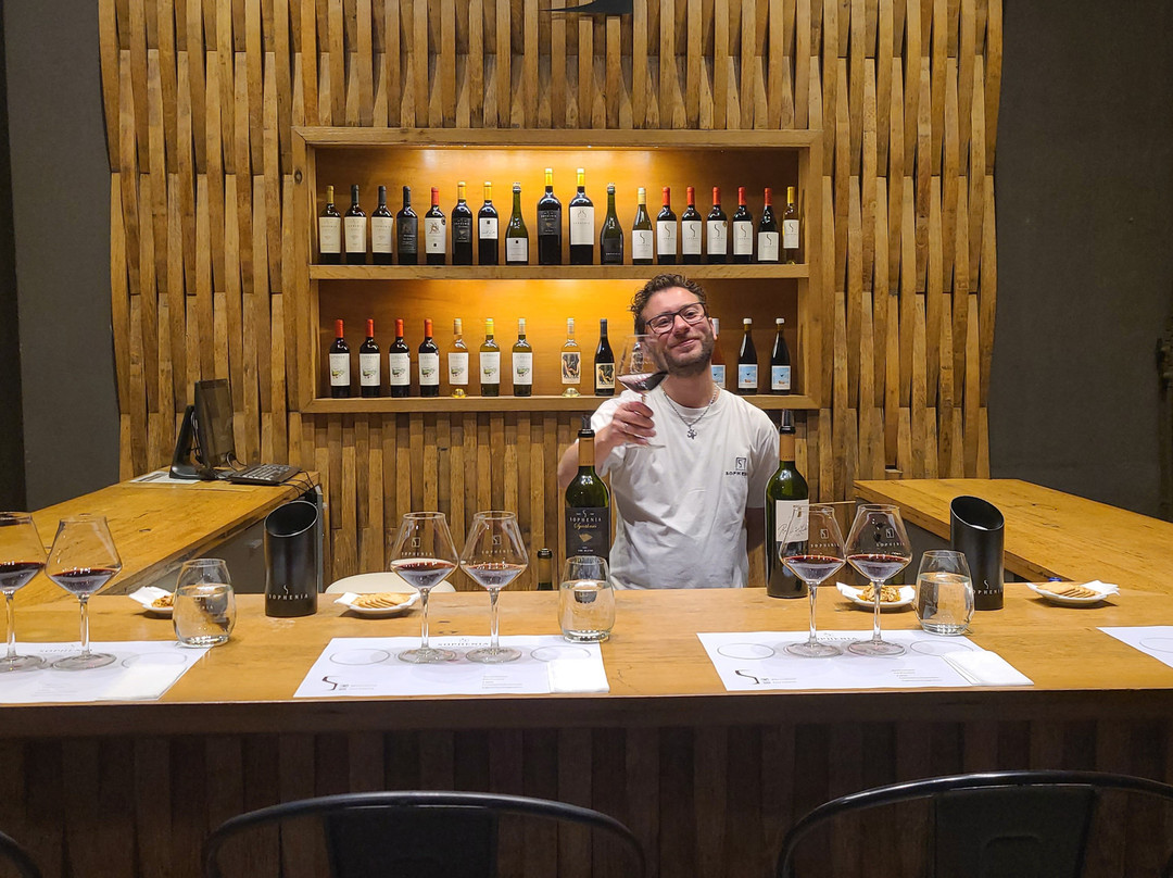 Finca Sophenia-Tupungato必去景点