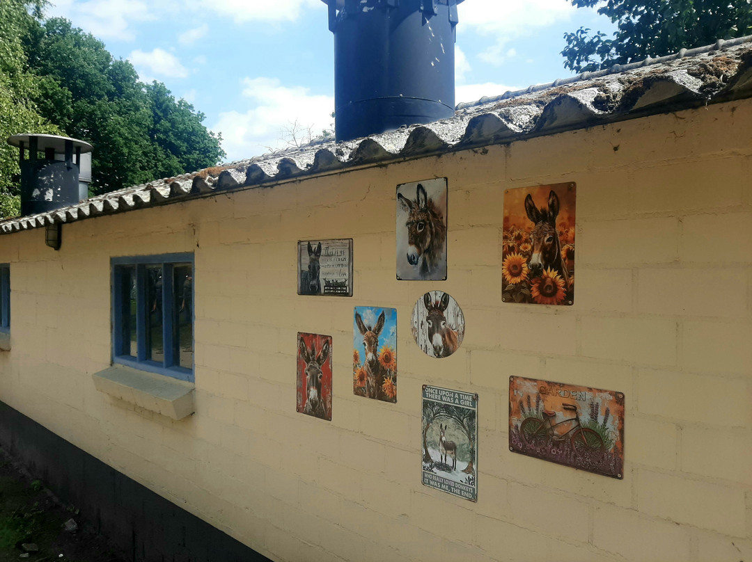 Recreational Farm Camping de Kreitsberg