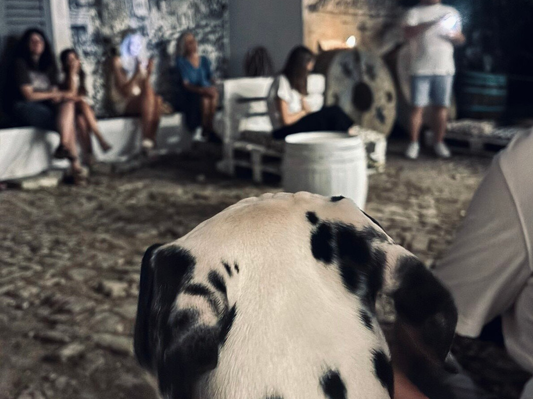 Home Of The Dalmatian Dog-希贝尼克必去景点