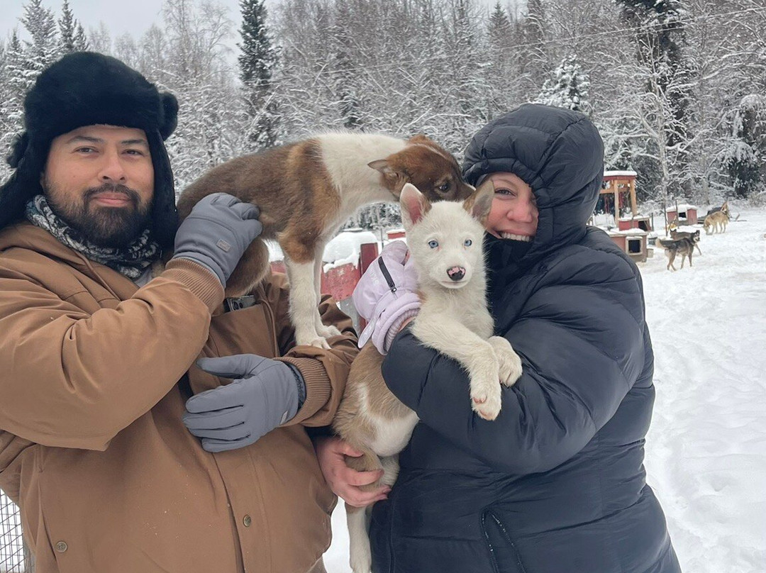 Cotter's Sled Dog Tours-费尔班克斯必去景点