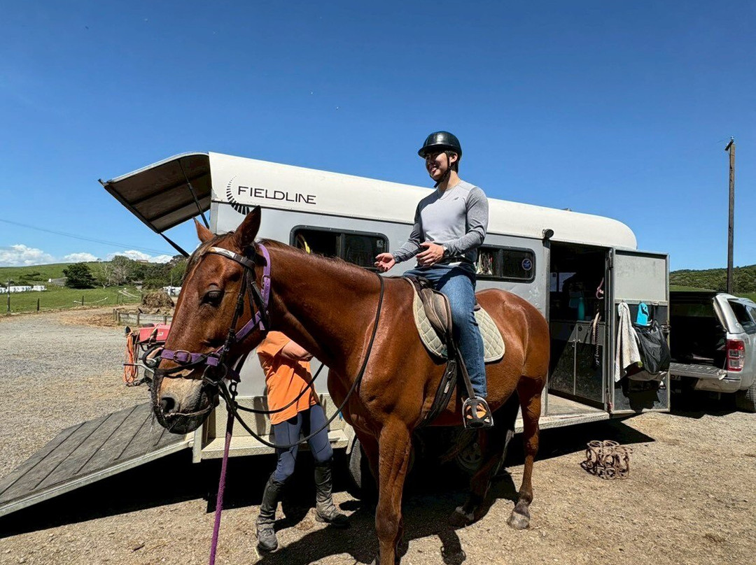 Surf & Turf Horse Riding Raglan-拉格伦必去景点