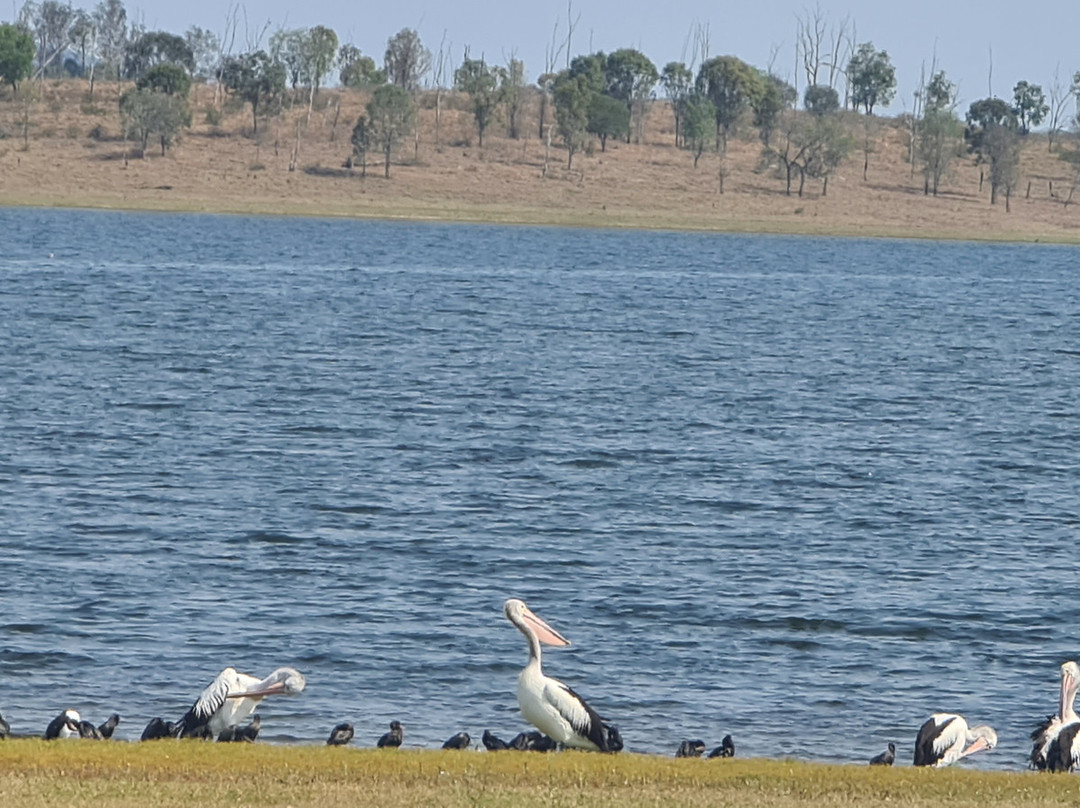 威文霍水库-布里斯班必去景点