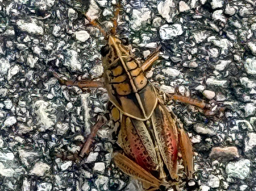 Florida National Parks Association-霍姆斯特德必去景点