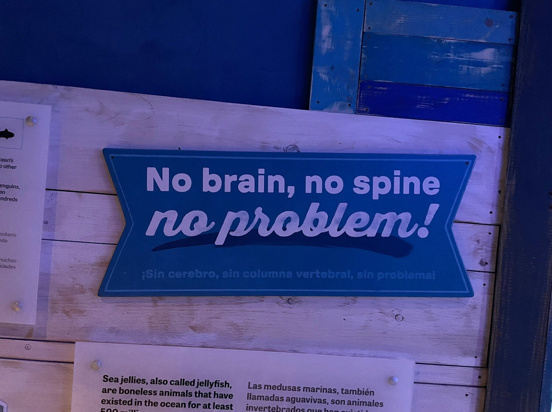 Mote Marine Laboratory & Aquarium-萨拉索塔必去景点