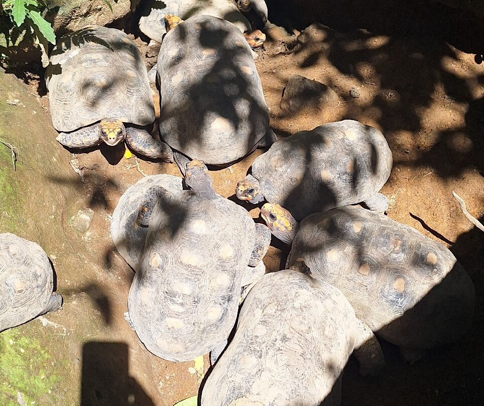 Ti Kwen Glo Cho Hot Springs-多米尼克必去景点