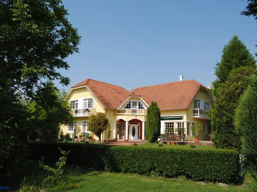 Villa Hedi Panzio主图