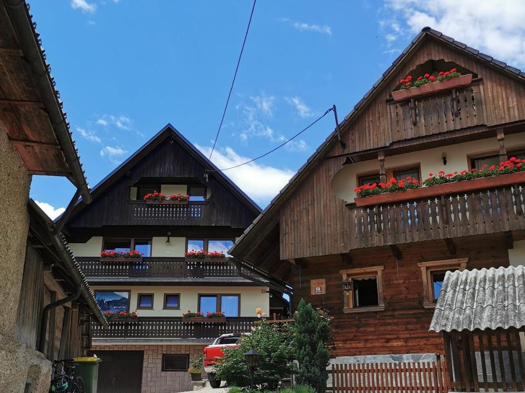 Apartmaji Pavc