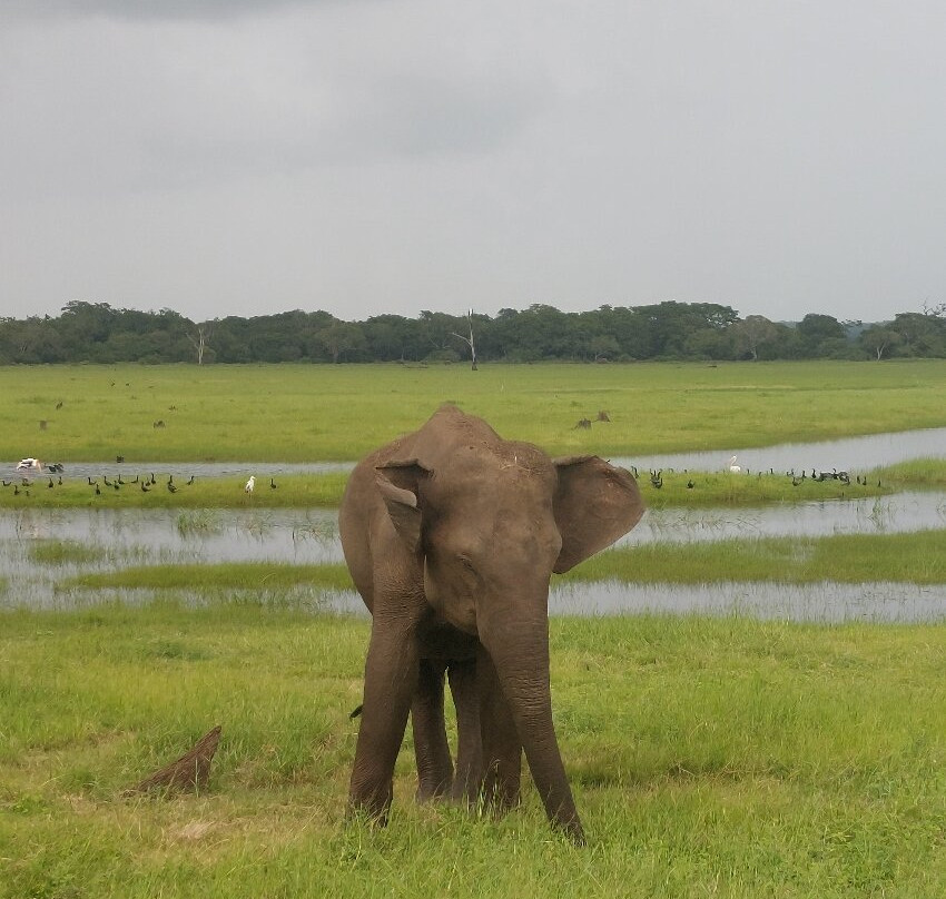 Rana's Travel Counter & Information Center-哈巴拉娜必去景点