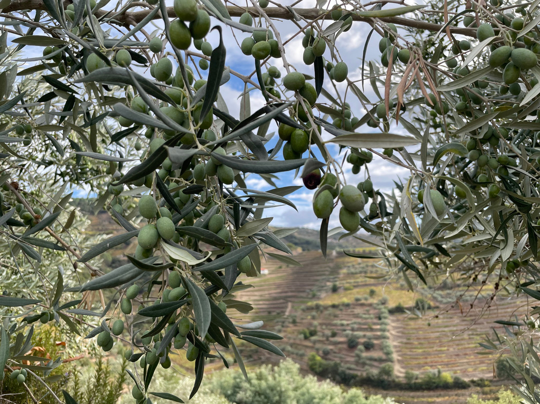Hotel Quinta do Silval主图