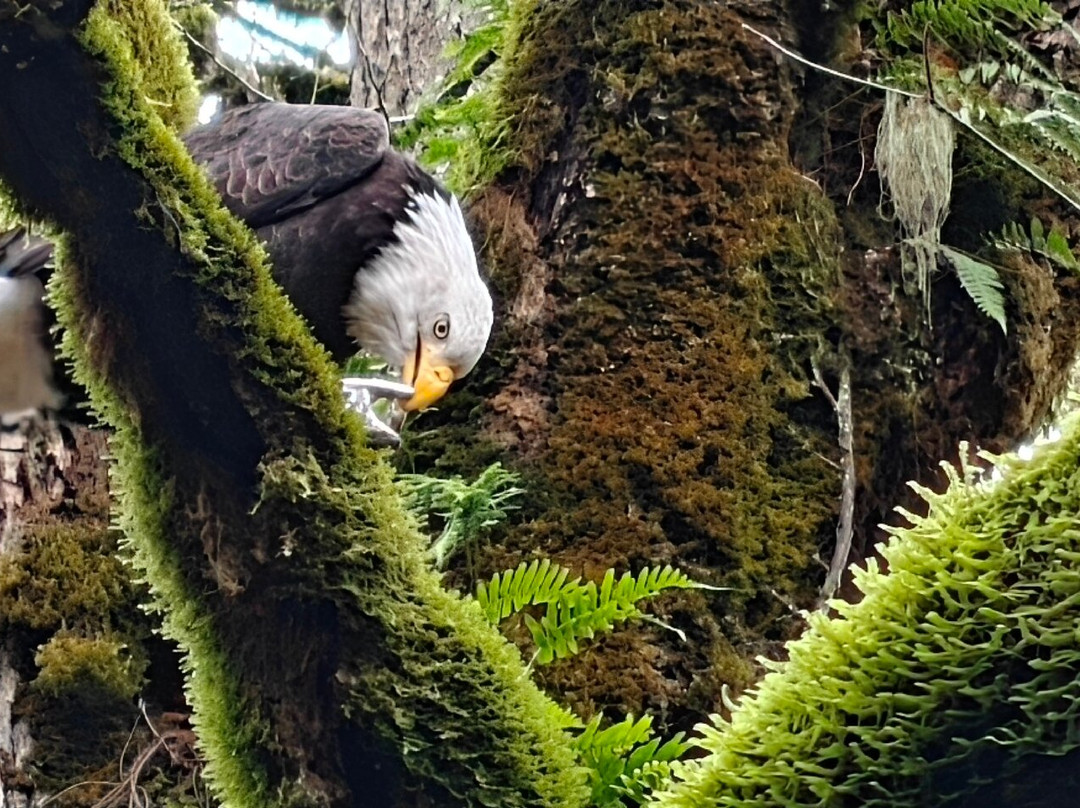 Goldstream Provincial Park-兰福德必去景点