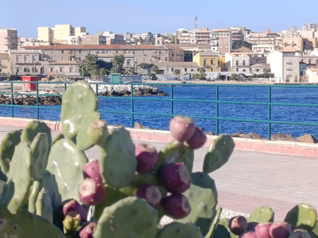 Brid Hybrid Car-Cinisi必去景点