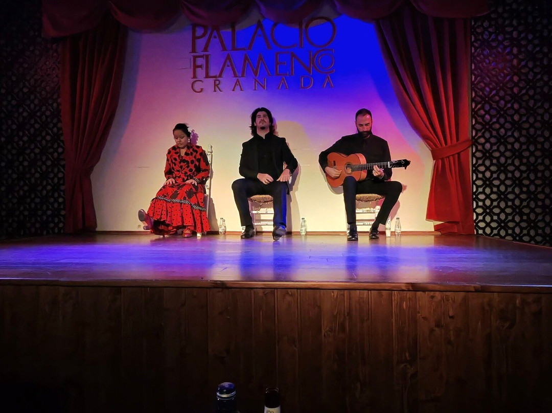 Palacio Flamenco-格拉纳达必去景点