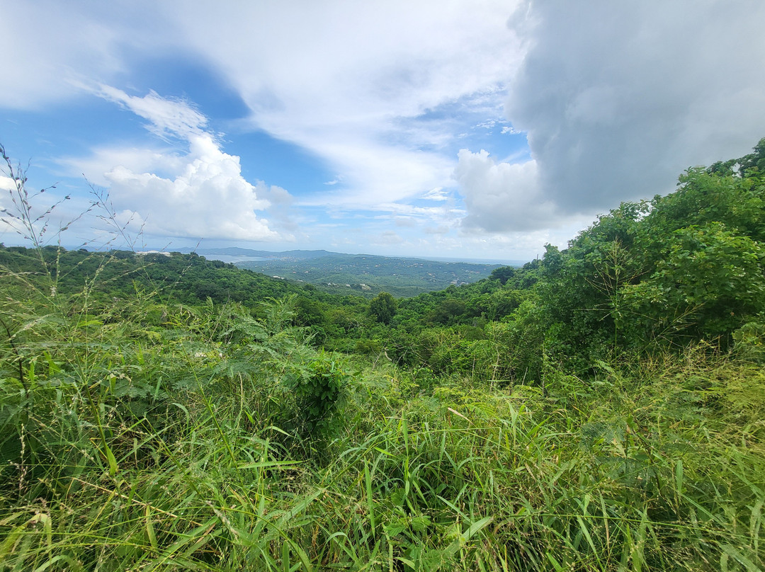North Shore-圣克鲁斯必去景点