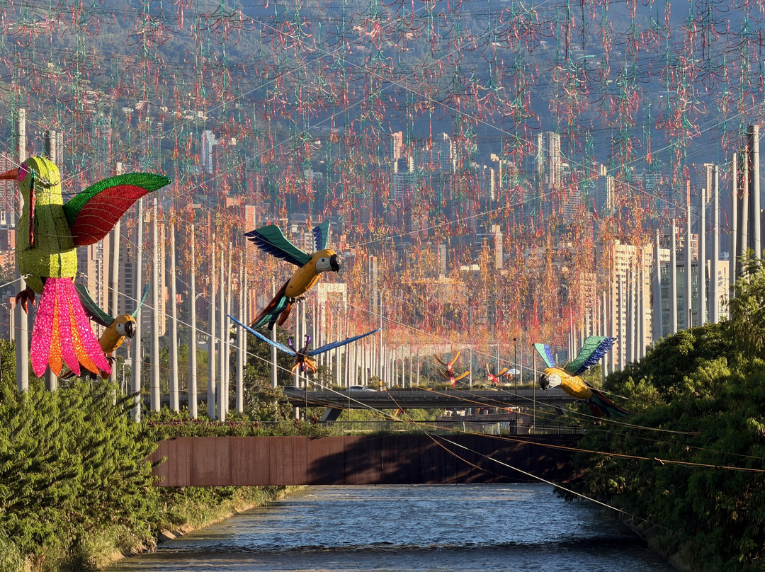 Somoloco-麦德林必去景点