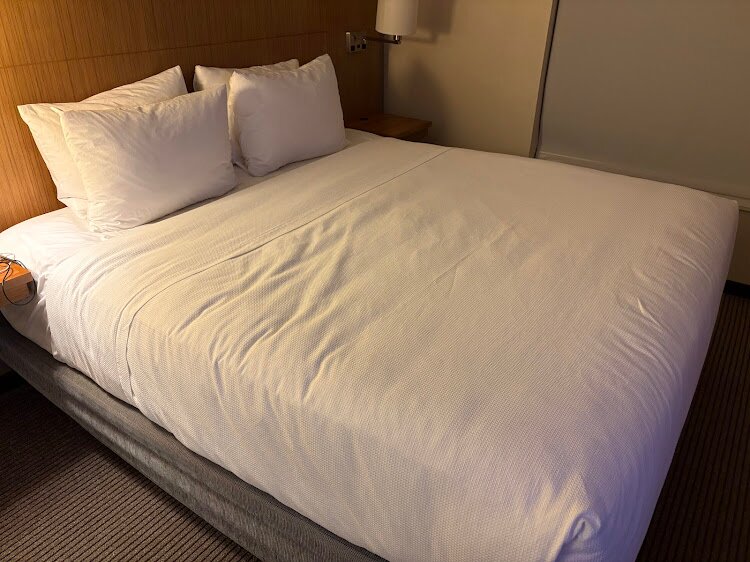 Hyatt Place Ann Arbor-客卧