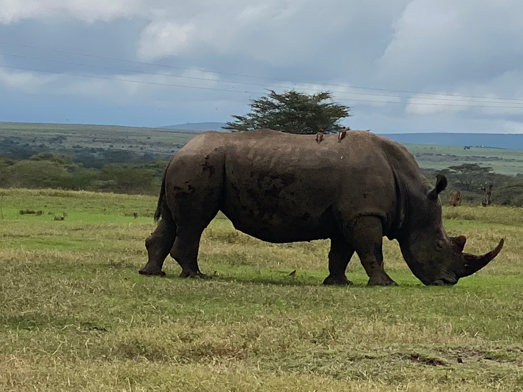 Aqua Paradise Safaris Day Tours-乌库达必去景点