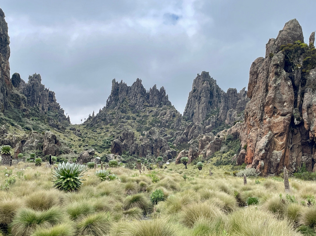 Mega Wild Safaris-坎帕拉必去景点