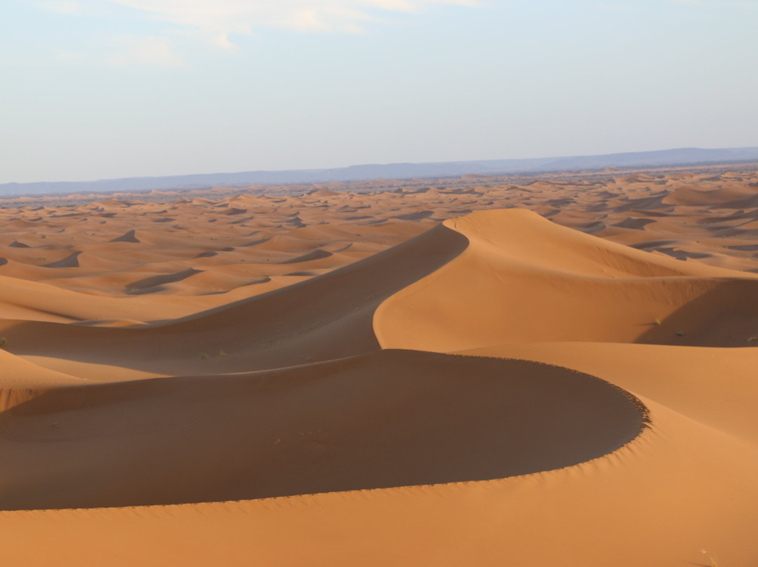 Sahara Desert Kingdom-马拉喀什必去景点