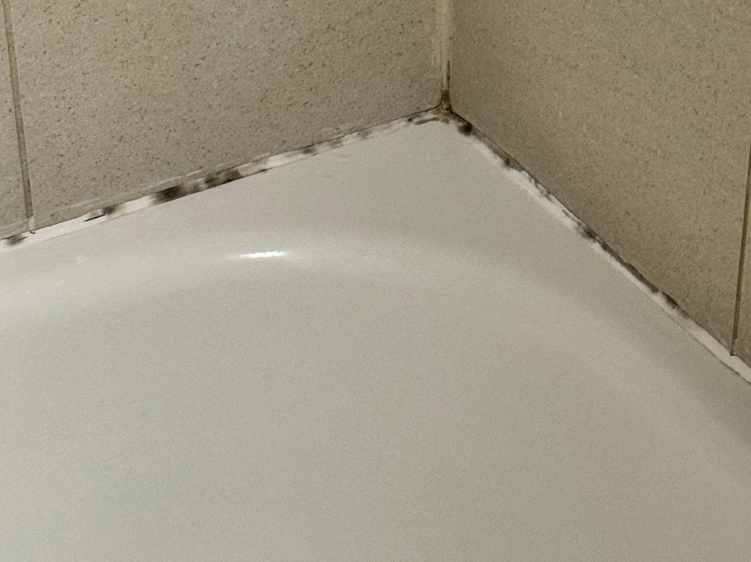 辛辛那提东北（布鲁阿什）希尔顿合博套房酒店主图