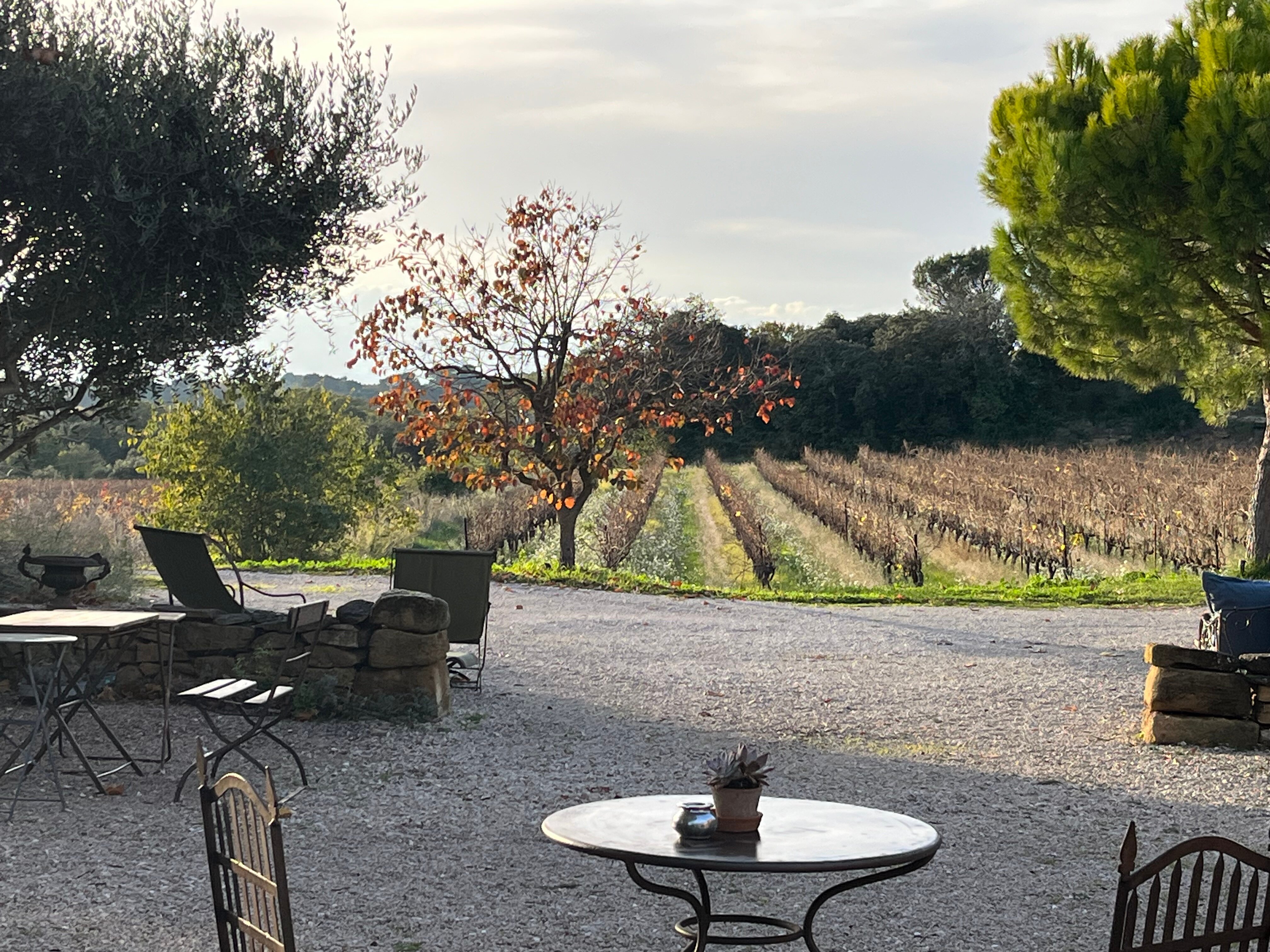 Le Clos Saint Saourde & SPA-浴室